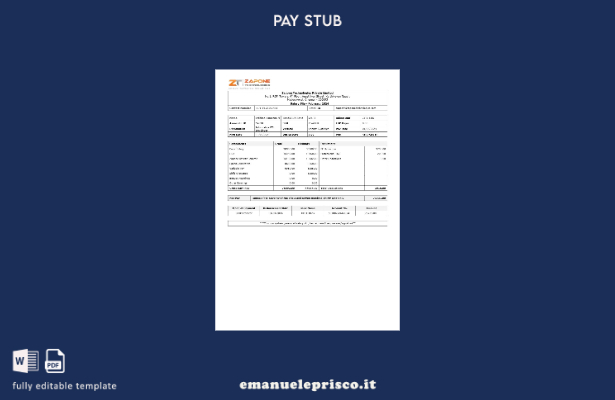 modello di busta paga Zapone Technologies stile verificato